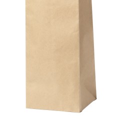 Bolsa Ragnar