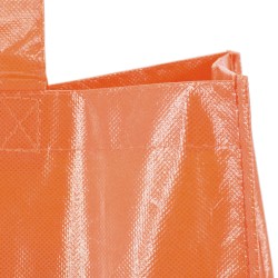 Bolsa Divia