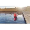 Balón Zeusty