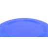 Frisbee Girox