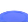 Frisbee Girox
