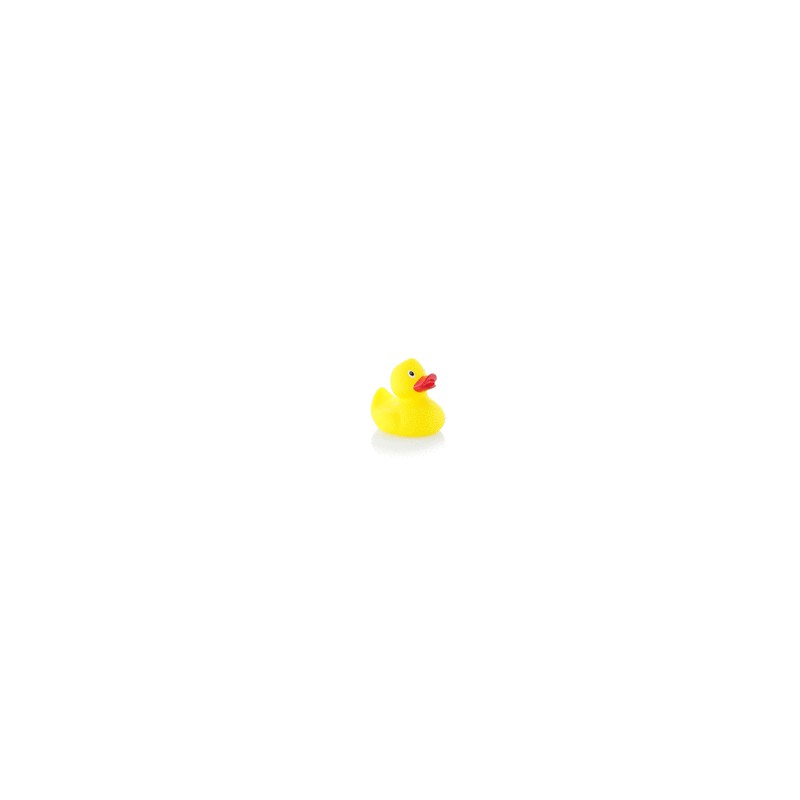 Pato Koldy