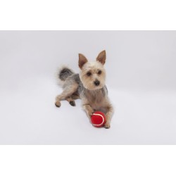 Pelota Niki