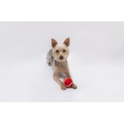 Pelota Niki