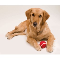 Pelota Niki