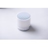 Altavoz Stockel