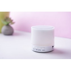 Altavoz Stockel