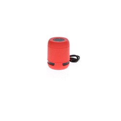 Altavoz Braiss