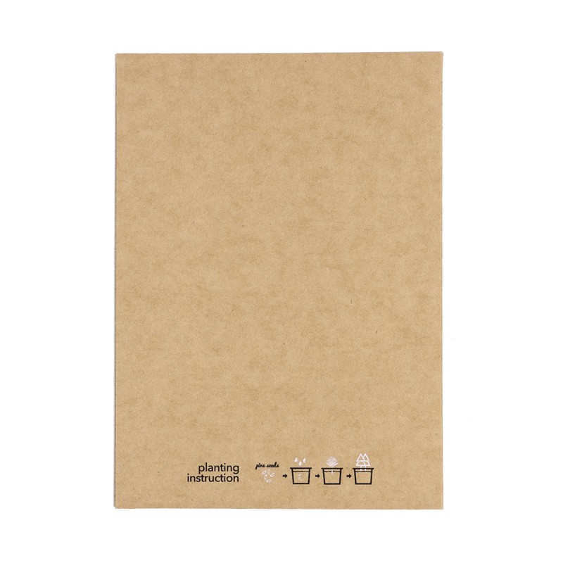 Postal Adorno Astrox