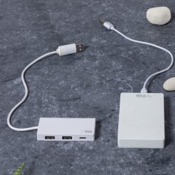 Power Bank Noiman