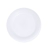Plato Grisen