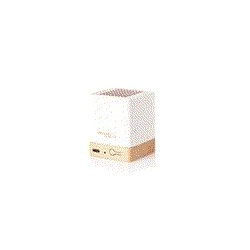 Altavoz Dorkin