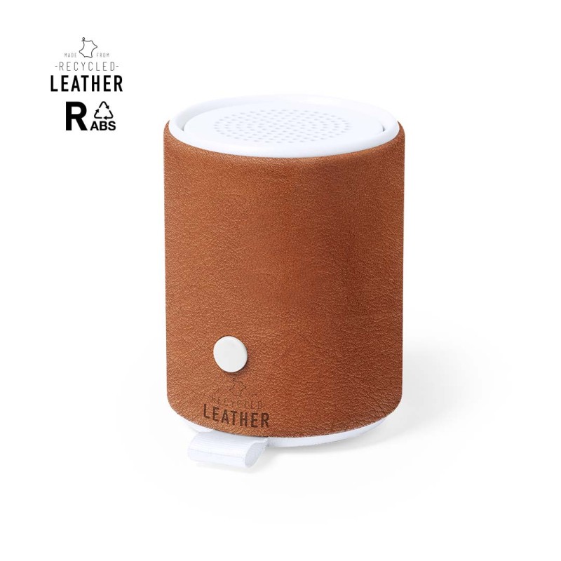 Altavoz Sotep RCS