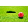 Bola Golf Nessa