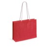 Bolsa Hintol