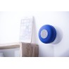 Altavoz Rariax
