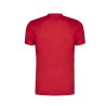 Camiseta Adulto Tecnic Layom