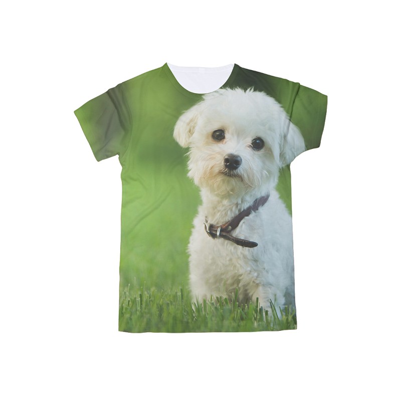 Camiseta Niño Krusly