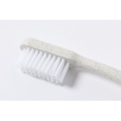 Cepillo Dientes Duncan
