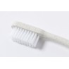 Cepillo Dientes Duncan