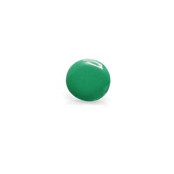Pin Turmi