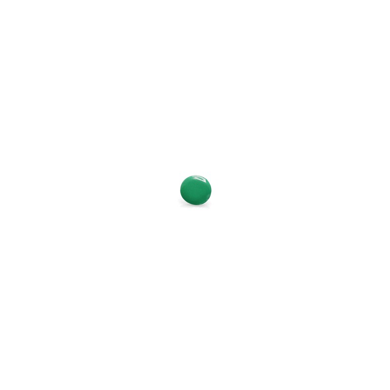 Pin Turmi
