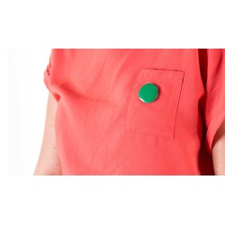 Pin Turmi