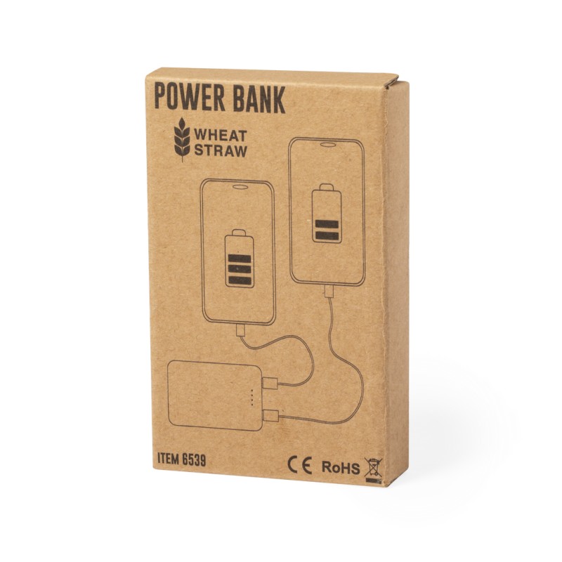 Power Bank Shiden