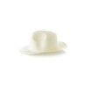 Sombrero Chizzer