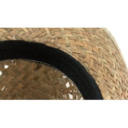 Sombrero Bull