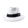 Sombrero Teilor