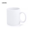 Taza Impex