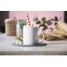 Taza Impex