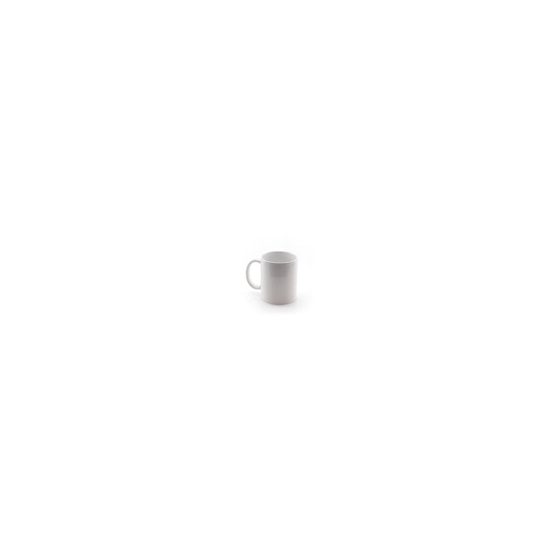 Taza Impex