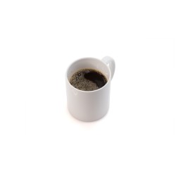 Taza Impex