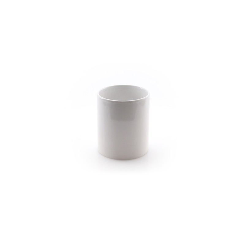 Taza Impex