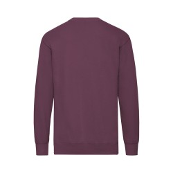 Sudadera Adulto Lightweight Set-In S