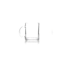 Taza Brant