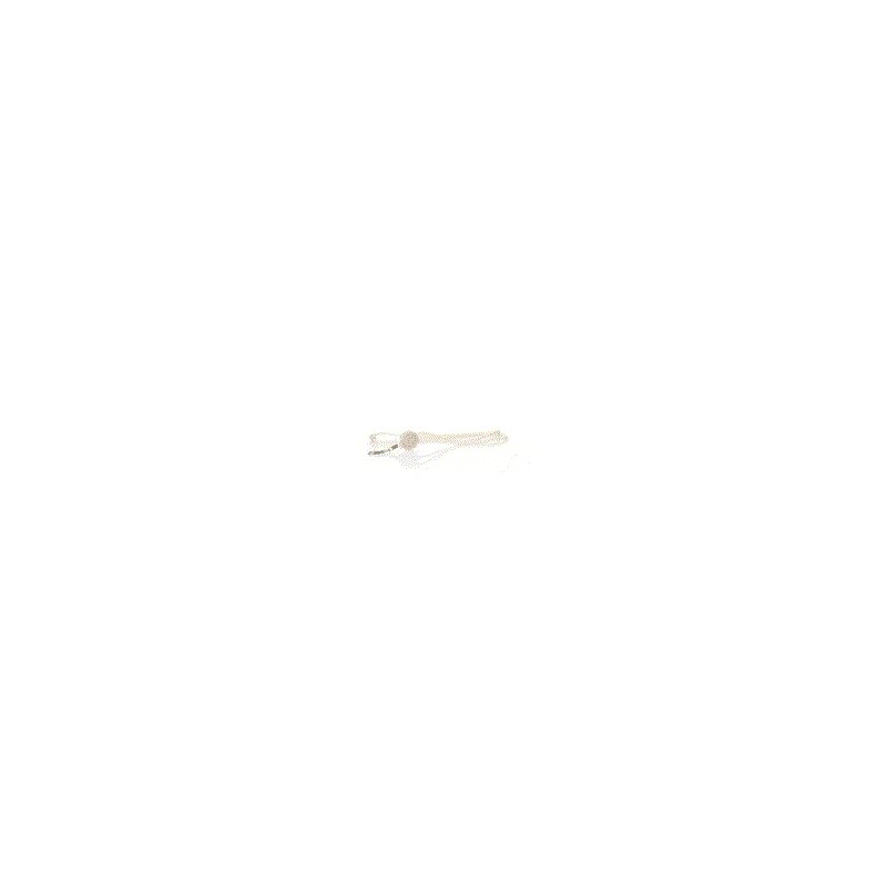 Lanyard Denain