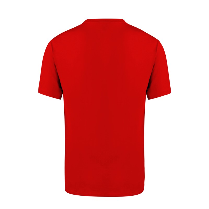 Camiseta Adulto Color Seiyo