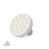 Emulsionador Nocote