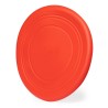 Frisbee Girud