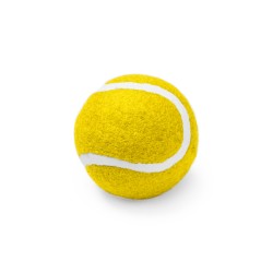 Pelota para mascotas Lanza