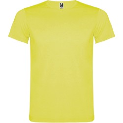 Camiseta Akita