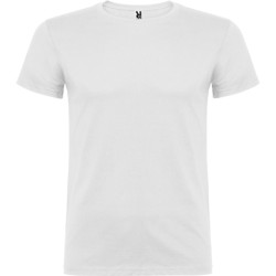 Camiseta Beagle
