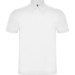 Polo Austral