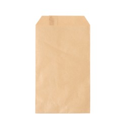 Bolsa de papel Moshi