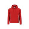 Sudadera Adulto Draco