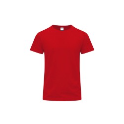 Camiseta Adulto Color Stiles