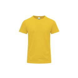 Camiseta Adulto Color Stiles